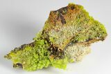 4" Apple-Green Pyromorphite Crystals on Matrix - China - #179845-2